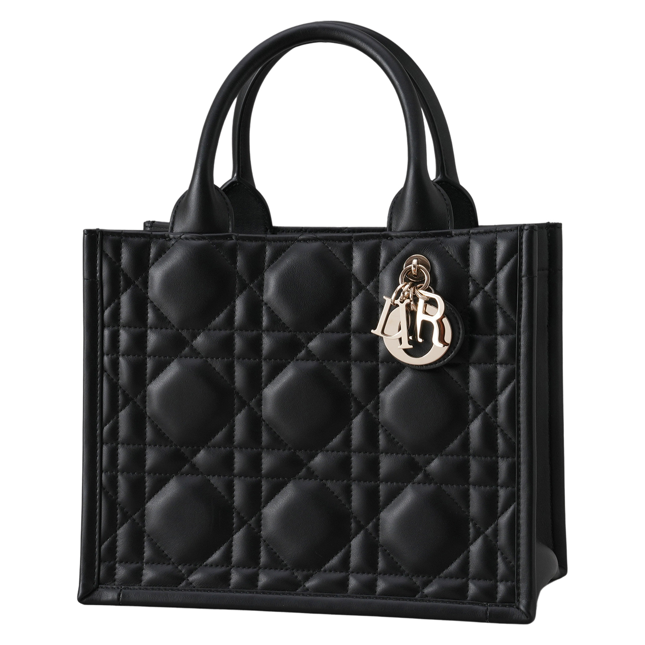 CHRISTIAN DIOR(USED)디올 북토트 스몰 매크로 까나쥬